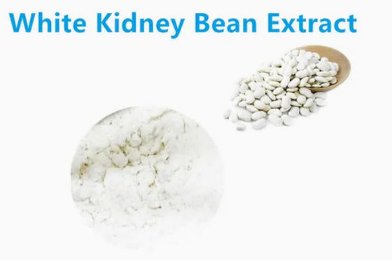 Witte Nierbonenextract voor het behoud van de gezondheid en het bevorderen van de groei CAS NO 85085-22-9