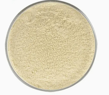 Witte Nierbonenextract voor het behoud van de gezondheid en het bevorderen van de groei CAS NO 85085-22-9