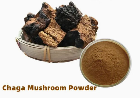 Natuurlijke 10%~50% Polysacchariden Chaga-extract Poederextract CAS 84650-60-9