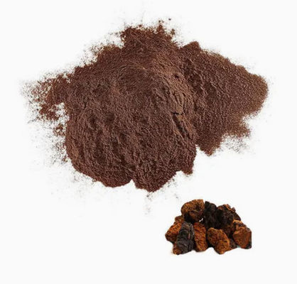 Natuurlijke 10%~50% Polysacchariden Chaga-extract Poederextract CAS 84650-60-9