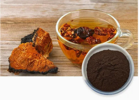 Natuurlijke 10%~50% Polysacchariden Chaga-extract Poederextract CAS 84650-60-9