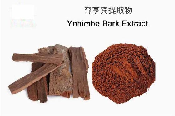 Farmaceutische levensmiddelen Yohimbe Bark Powder Extract CAS NO 65-19-0 Gezondheidszorg