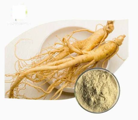 Natuurlijke organische hoogwaardige ginseng-extract CAS NO 90045-38-8 Ginseng-monomeersaponinen