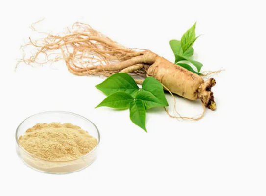 Natuurlijke organische hoogwaardige ginseng-extract CAS NO 90045-38-8 Ginseng-monomeersaponinen