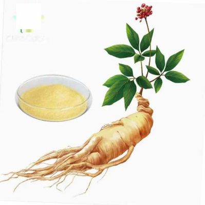 Natuurlijke organische hoogwaardige ginseng-extract CAS NO 90045-38-8 Ginseng-monomeersaponinen
