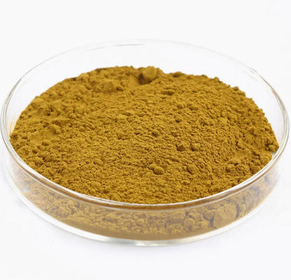 Astragalus-extract met Astragaloside A Cycloastragenol Polysaccharides CAS 84687-43-4