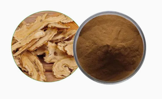 Chinese geneeskunde extract grondstof Angelica extract CAS NO 84775-41-7 Gezondheid