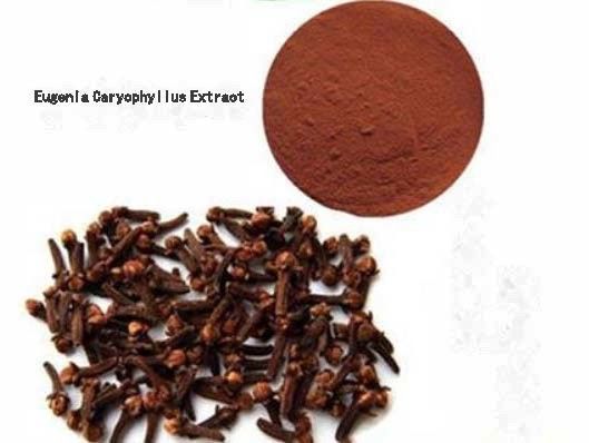 Eugenia Caryophyllus Extract CAS NO 84961-50-2 Voedingsproducten voor de gezondheid