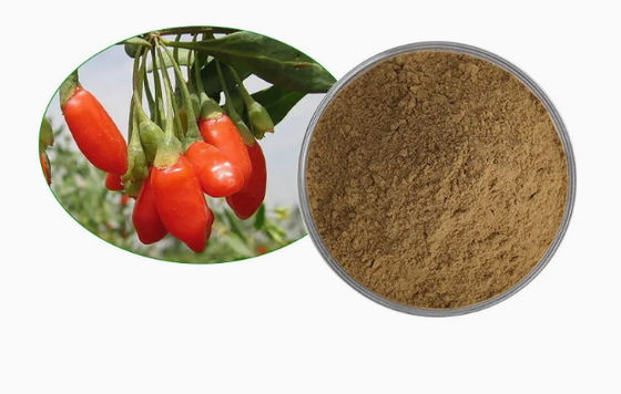 Natuurlijke Pure Antioxidant Wolfberry Extract CAS NO 11-40-5 Goji Berry Extract
