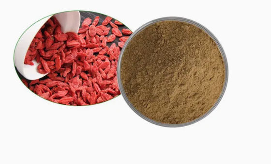 Natuurlijke Pure Antioxidant Wolfberry Extract CAS NO 11-40-5 Goji Berry Extract