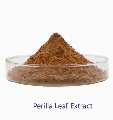 Natuurlijke organische Perilla-bladextract CAS NO 90082-61-4 Eenjarige kruidenpoeder