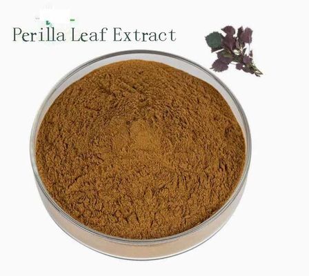 Natuurlijke organische Perilla-bladextract CAS NO 90082-61-4 Eenjarige kruidenpoeder
