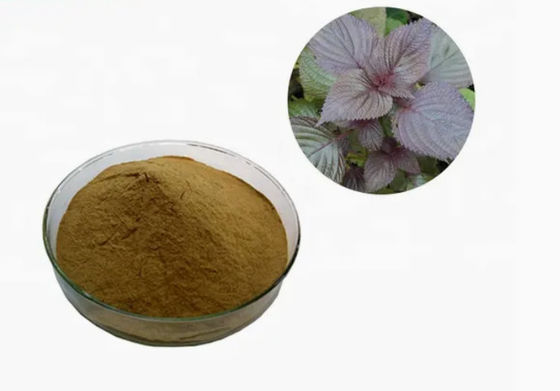 Natuurlijke organische Perilla-bladextract CAS NO 90082-61-4 Eenjarige kruidenpoeder