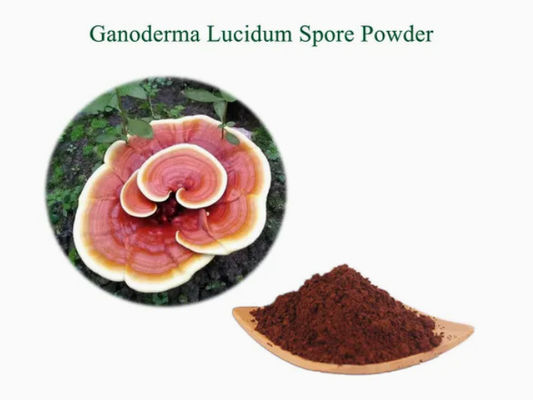 Plantgeneeskunde Ganoderma Lucidum Spore Powder CAS NO 223751-82-4 Natuurlijke organische