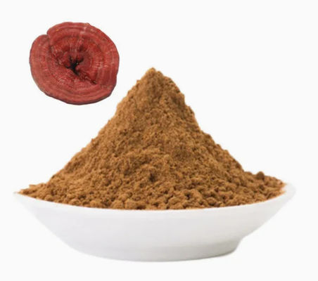Plantgeneeskunde Ganoderma Lucidum Spore Powder CAS NO 223751-82-4 Natuurlijke organische