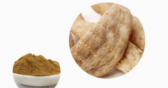 Farmaceutische producten Gezondheidszorg Gastrodia Elata Extracten CAS NO 62499-27-8 Gastrodia Elata BL