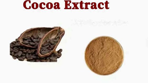 Zuiver natuurlijk cacao-extract Theobromine CAS NO 83-67-0 Plantenextracten Voedingsadditief