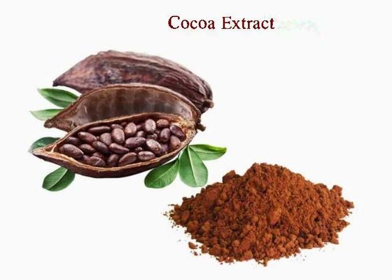Zuiver natuurlijk cacao-extract Theobromine CAS NO 83-67-0 Plantenextracten Voedingsadditief
