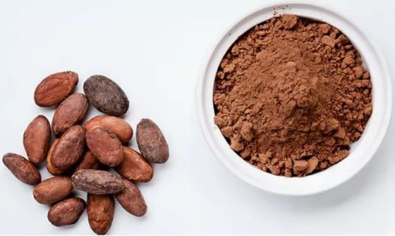 Zuiver natuurlijk cacao-extract Theobromine CAS NO 83-67-0 Plantenextracten Voedingsadditief