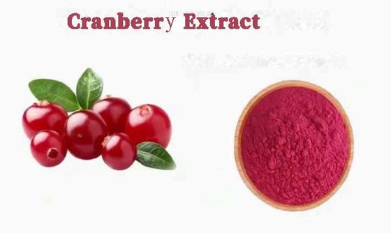Verse natuurlijke pure cranberry extracten CAS NO 84929-27-1 poeder 25% anthocyanidine