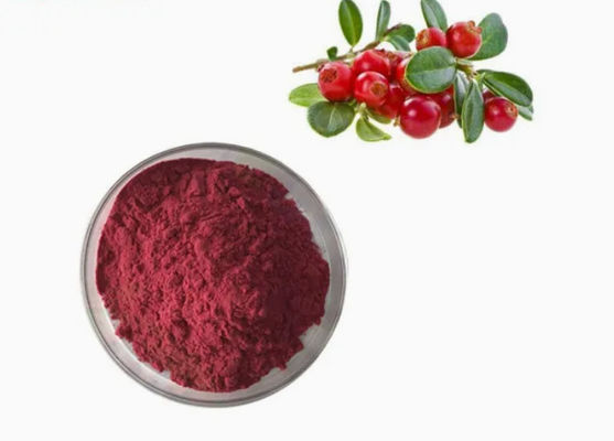 Verse natuurlijke pure cranberry extracten CAS NO 84929-27-1 poeder 25% anthocyanidine