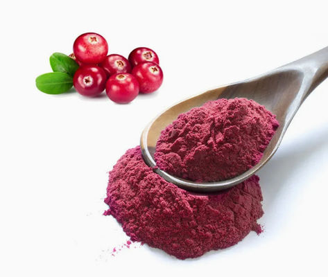 Verse natuurlijke pure cranberry extracten CAS NO 84929-27-1 poeder 25% anthocyanidine