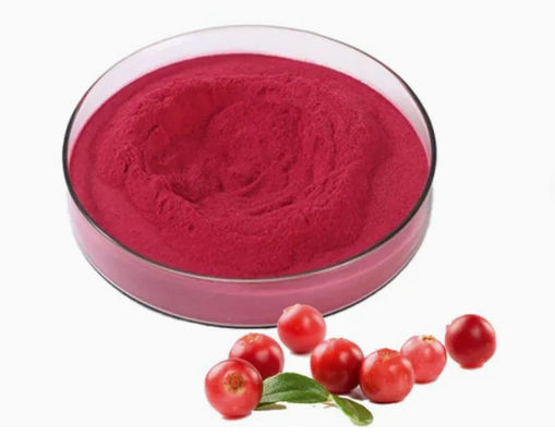 Verse natuurlijke pure cranberry extracten CAS NO 84929-27-1 poeder 25% anthocyanidine