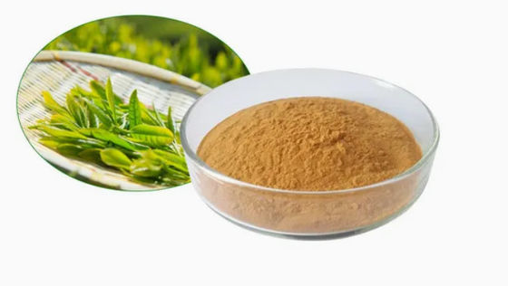 Natuurlijke kruidengeneesmiddelen Groene thee-extract Cas nr. 989-51-5 Camellia Sinensis o.ktze