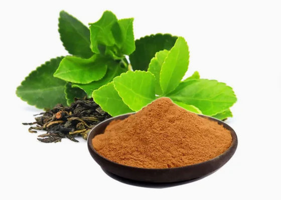 Natuurlijke kruidengeneesmiddelen Groene thee-extract Cas nr. 989-51-5 Camellia Sinensis o.ktze