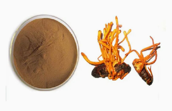 Organic Selenium Verrijkt Cordyceps Militaris Poeder cAS NO 73-03-0 Geneesmiddelen