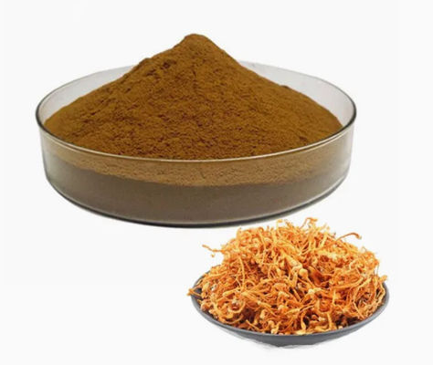 Organic Selenium Verrijkt Cordyceps Militaris Poeder cAS NO 73-03-0 Geneesmiddelen