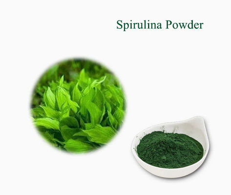 Plantenextracten Gezondheidszorgsupplement Spirulina CAS NO 724424-92-4 Poeder van groene algen