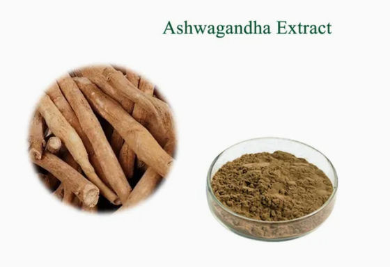 Plantenextract Ashwagandha Ayurvedische extracten CAS NO 90147-43-6 5% Withanolide poeder