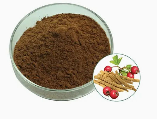 Plantenextract Ashwagandha Ayurvedische extracten CAS NO 90147-43-6 5% Withanolide poeder