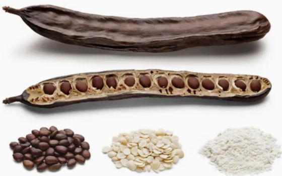 Biologisch voedsel en cosmetische kwaliteit Karobgumpoeder CAS NO 9000-40-2 Locust Bean Gum