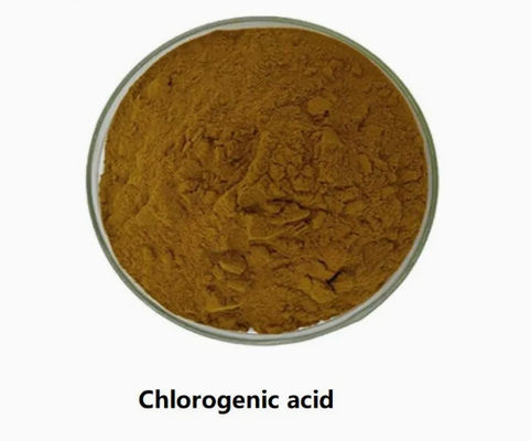 Farmaceutische essentiële grondstof of tussenproduct Chlorogeenzuur CAS NO 327-97-9 Poeder