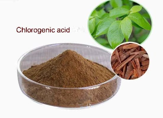 Farmaceutische essentiële grondstof of tussenproduct Chlorogeenzuur CAS NO 327-97-9 Poeder