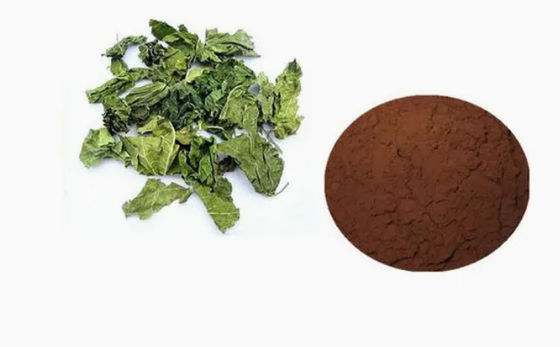 Farmaceutische essentiële grondstof of tussenproducten Chlorogeenzuur CAS NO 327-97-9 Poeder