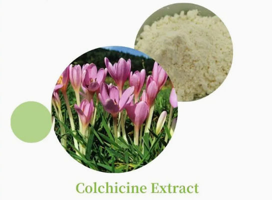 Farmaceutisch CAS-nummer 64-86-8 Colchicine Extract USP/Ep 97~103% Colcemid Colchicine
