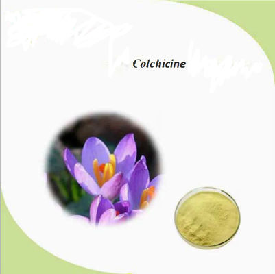 Farmaceutisch CAS-nummer 64-86-8 Colchicine Extract USP/Ep 97~103% Colcemid Colchicine