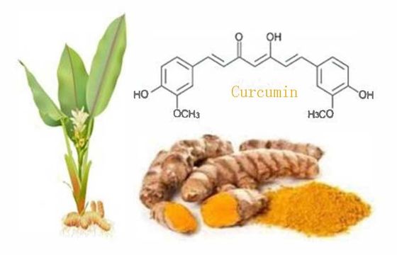 Biologisch gecertificeerd natuurlijk curcumine poeder CAS NO 458-37-7 Plantenkurkuma wortel extract