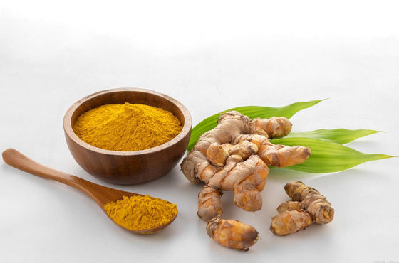 Biologisch gecertificeerd natuurlijk curcumine poeder CAS NO 458-37-7 Plantenkurkuma wortel extract