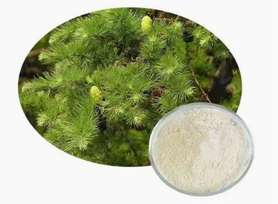 Natuurlijke supplement Taxifoline Dihydroquercetine 80% 95% 98% CAS NO 480-18-2 extract Poeder