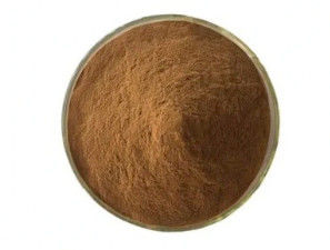 Biologisch 10:1 Fructus Phyllanthi Extract CAS NO 90028-28-7 Fructus Phyllanthi Extract