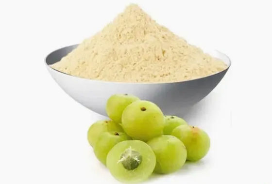 Biologisch 10:1 Fructus Phyllanthi Extract CAS NO 90028-28-7 Fructus Phyllanthi Extract