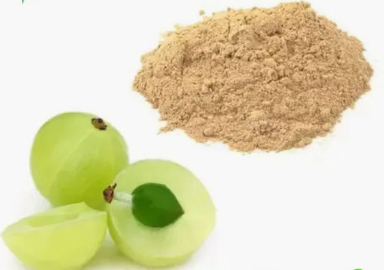 Biologisch 10:1 Fructus Phyllanthi Extract CAS NO 90028-28-7 Fructus Phyllanthi Extract