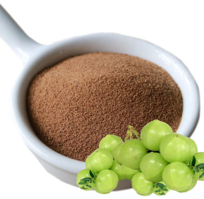 Biologisch 10:1 Fructus Phyllanthi Extract CAS NO 90028-28-7 Fructus Phyllanthi Extract