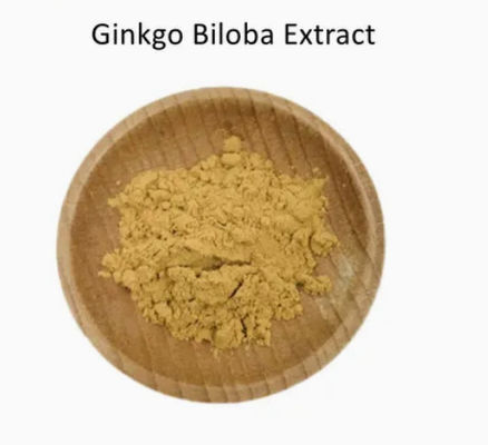 Geneesmiddelen Gezondheidszorg Ginkgo Biloba Extract CAS NO 84696-15-1 Puur natuurlijk poeder