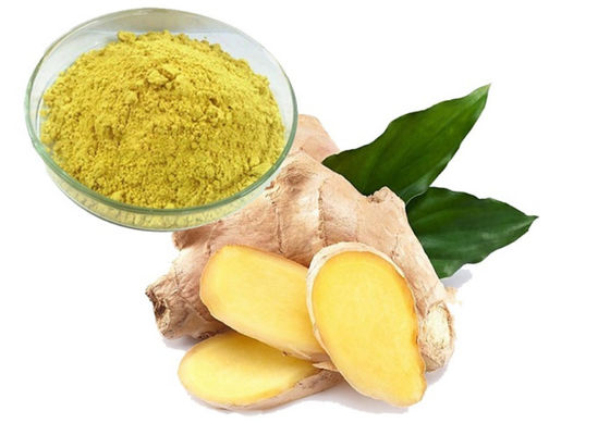 Geneesmiddelen Gezondheidszorg Ginkgo Biloba Extract CAS NO 84696-15-1 Puur natuurlijk poeder