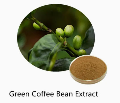 Farmaceutische producten Gezondheidszorg Groene koffieboon extract CAS NO 327-97-9 Puur natuurlijk poeder